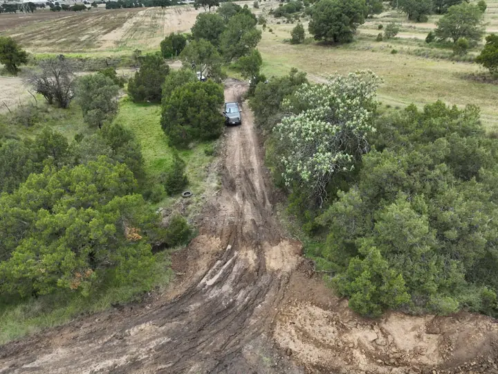 Apertura de camino entre el arbolado