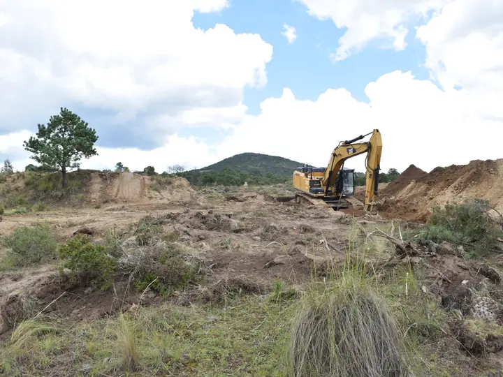 Frente de excavación junto al arbolado