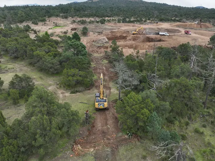 Excavación de una zanja entre el arbolado